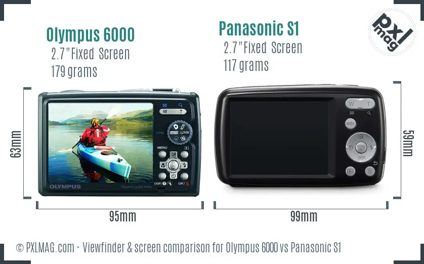 Olympus 6000 vs Panasonic S1 Screen and Viewfinder comparison