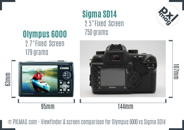 Olympus 6000 vs Sigma SD14 Screen and Viewfinder comparison