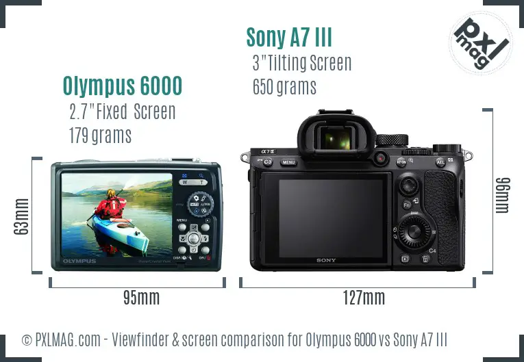 Olympus 6000 vs Sony A7 III Screen and Viewfinder comparison