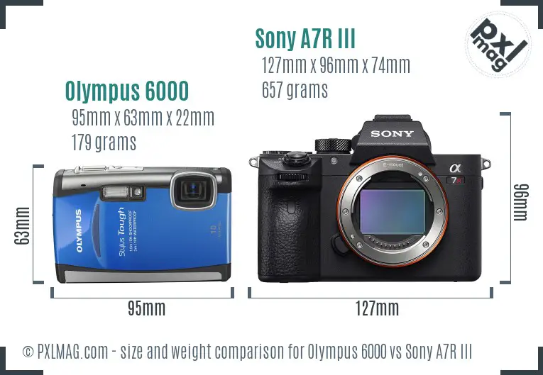 Olympus 6000 vs Sony A7R III size comparison