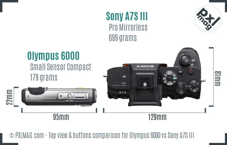 Olympus 6000 vs Sony A7S III top view buttons comparison