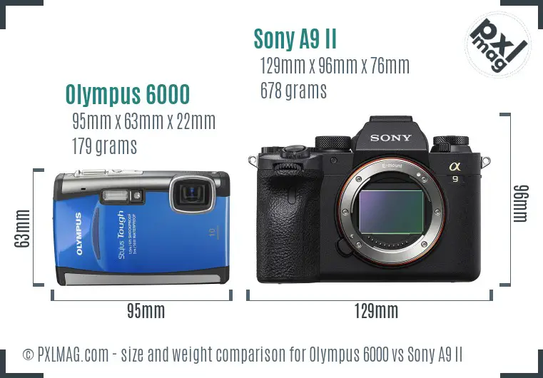 Olympus 6000 vs Sony A9 II size comparison