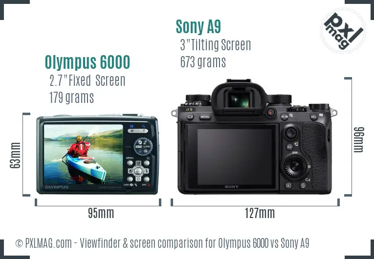 Olympus 6000 vs Sony A9 Screen and Viewfinder comparison