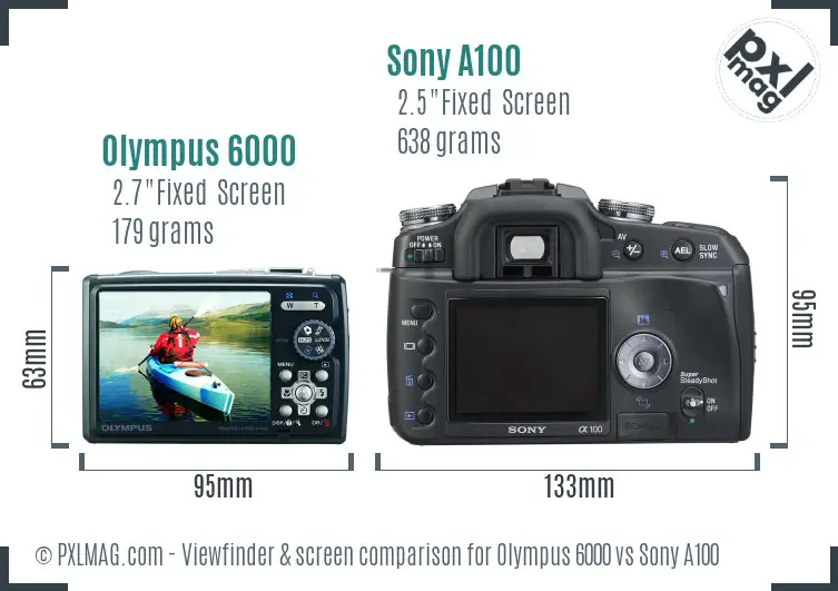 Olympus 6000 vs Sony A100 Screen and Viewfinder comparison