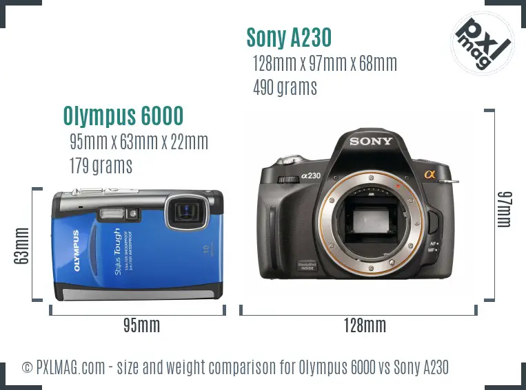 Olympus 6000 vs Sony A230 size comparison