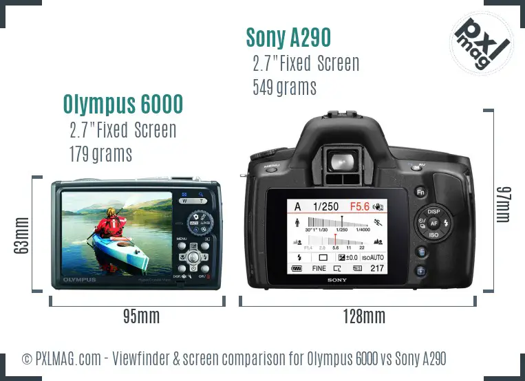Olympus 6000 vs Sony A290 Screen and Viewfinder comparison