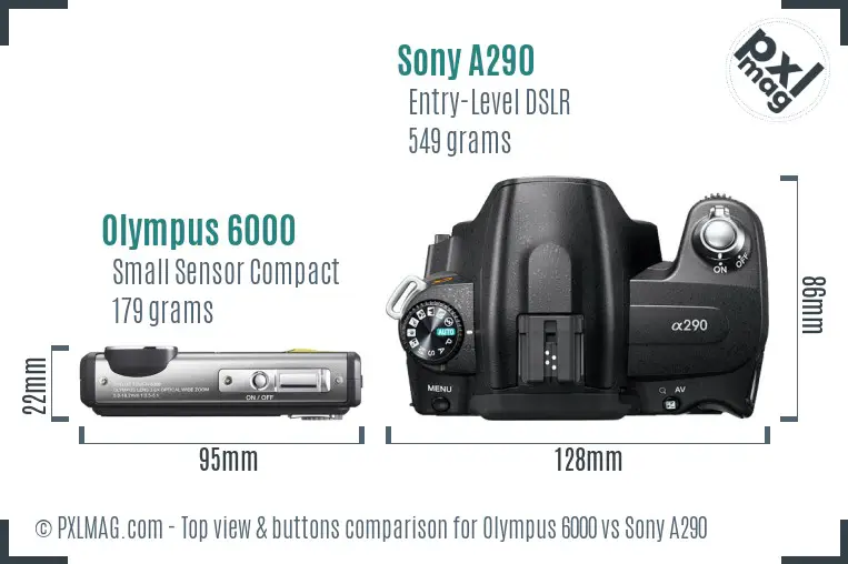Olympus 6000 vs Sony A290 top view buttons comparison