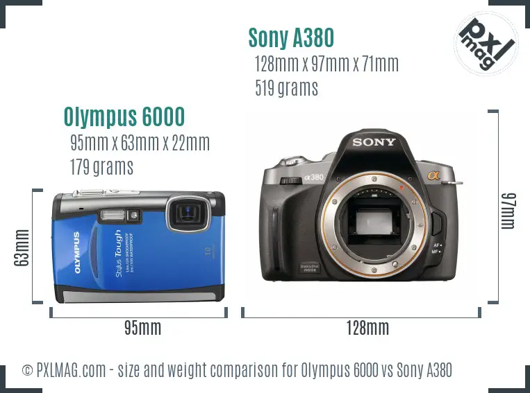 Olympus 6000 vs Sony A380 size comparison