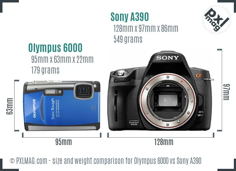 Olympus 6000 vs Sony A390 size comparison