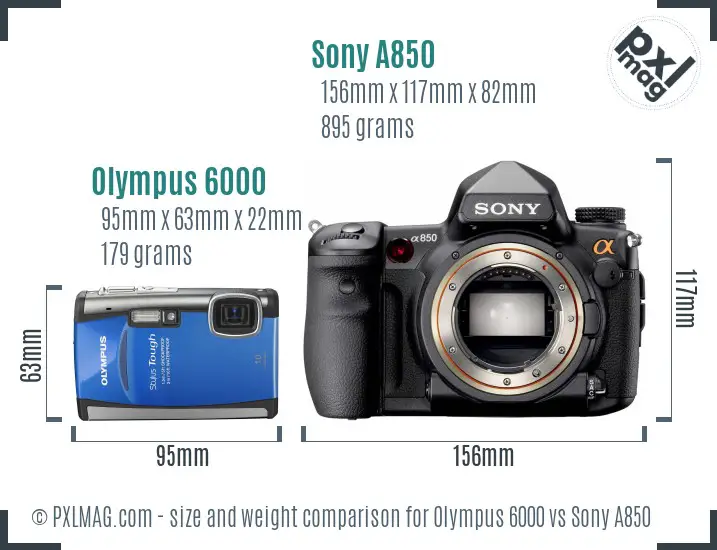 Olympus 6000 vs Sony A850 size comparison