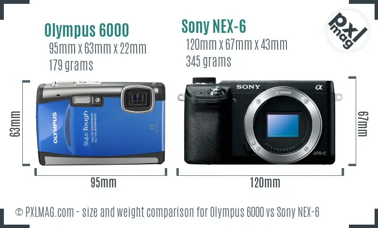 Olympus 6000 vs Sony NEX-6 size comparison