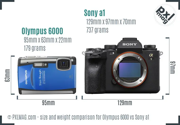 Olympus 6000 vs Sony a1 size comparison
