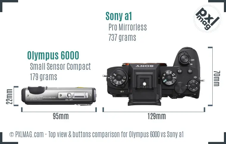 Olympus 6000 vs Sony a1 top view buttons comparison