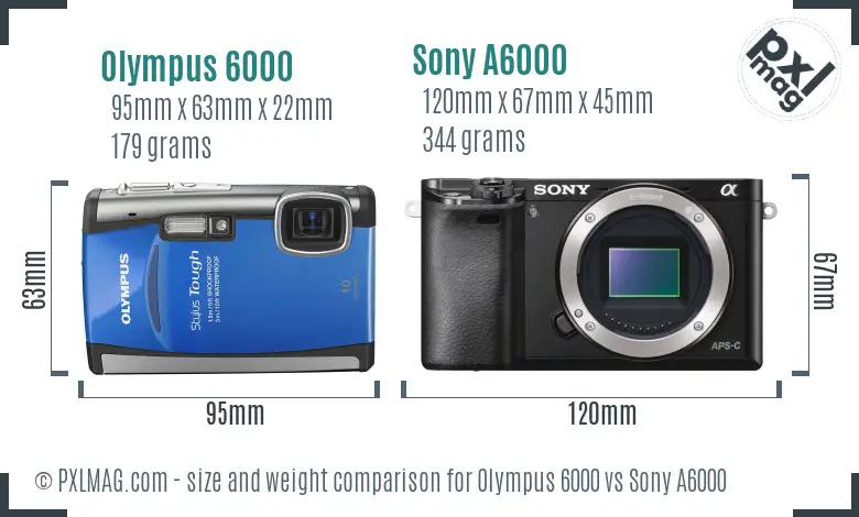 Olympus 6000 vs Sony A6000 size comparison