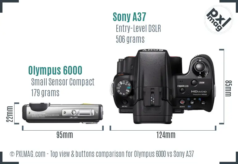 Olympus 6000 vs Sony A37 top view buttons comparison