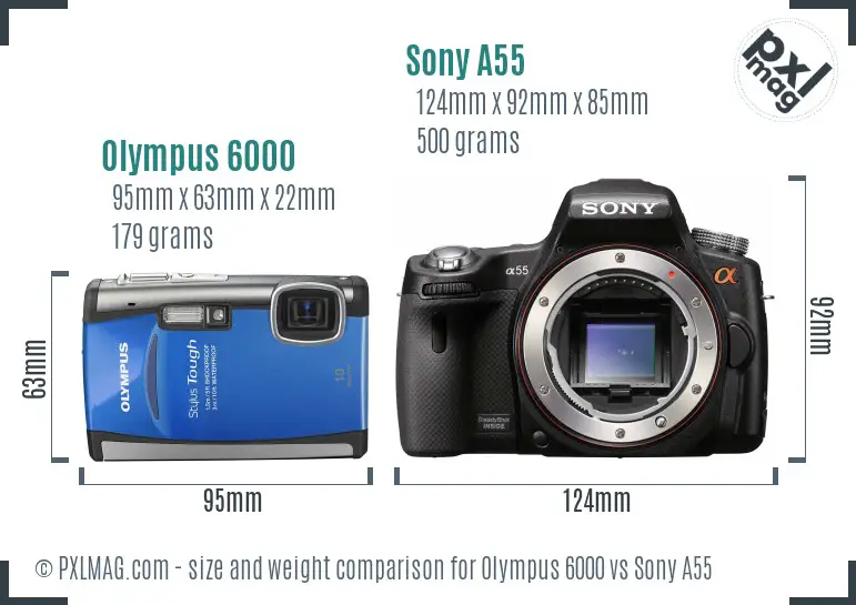 Olympus 6000 vs Sony A55 size comparison