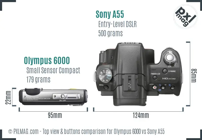Olympus 6000 vs Sony A55 top view buttons comparison