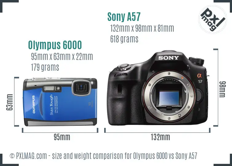 Olympus 6000 vs Sony A57 size comparison