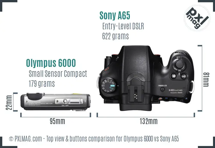 Olympus 6000 vs Sony A65 top view buttons comparison