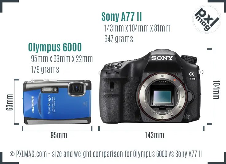 Olympus 6000 vs Sony A77 II size comparison