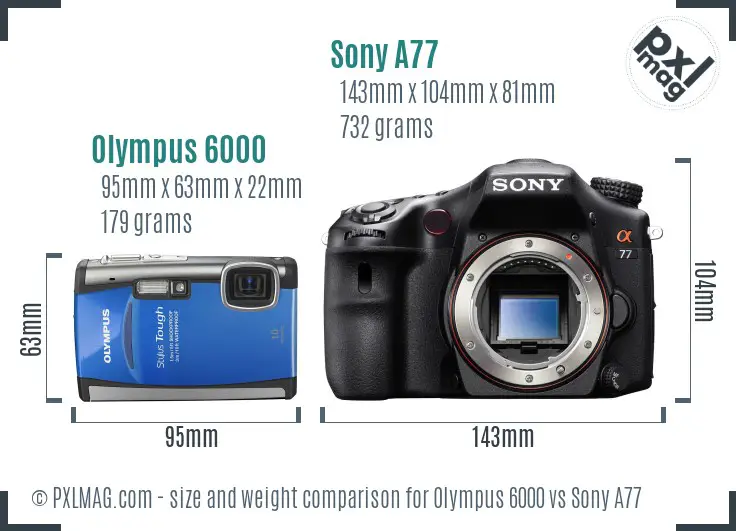 Olympus 6000 vs Sony A77 size comparison