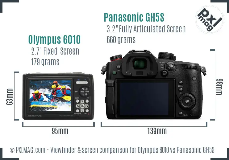 Olympus 6010 vs Panasonic GH5S Screen and Viewfinder comparison