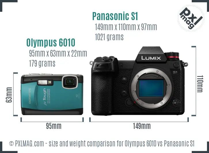 Olympus 6010 vs Panasonic S1 size comparison