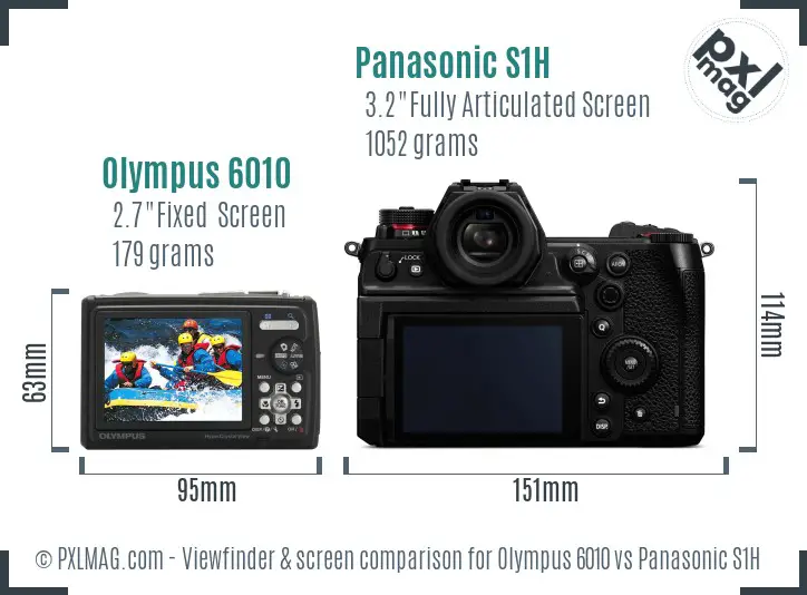 Olympus 6010 vs Panasonic S1H Screen and Viewfinder comparison