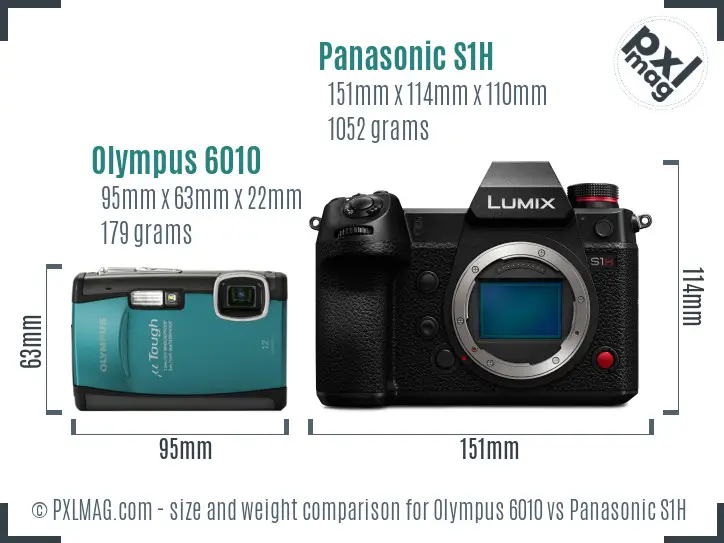 Olympus 6010 vs Panasonic S1H size comparison