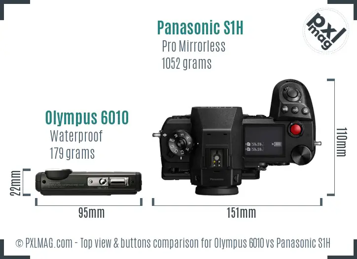 Olympus 6010 vs Panasonic S1H top view buttons comparison
