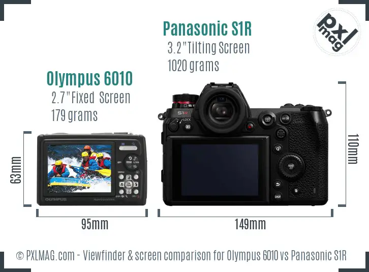 Olympus 6010 vs Panasonic S1R Screen and Viewfinder comparison