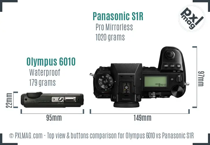Olympus 6010 vs Panasonic S1R top view buttons comparison