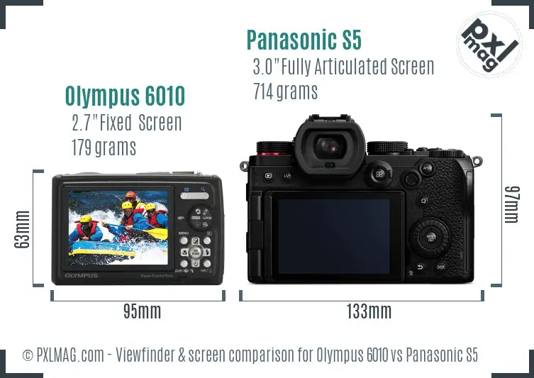 Olympus 6010 vs Panasonic S5 Screen and Viewfinder comparison