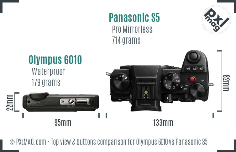 Olympus 6010 vs Panasonic S5 top view buttons comparison