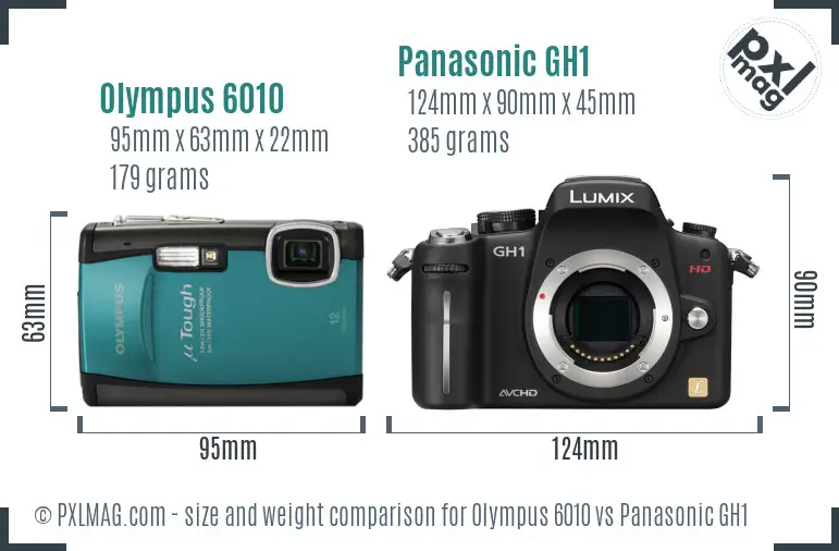 Olympus 6010 vs Panasonic GH1 size comparison