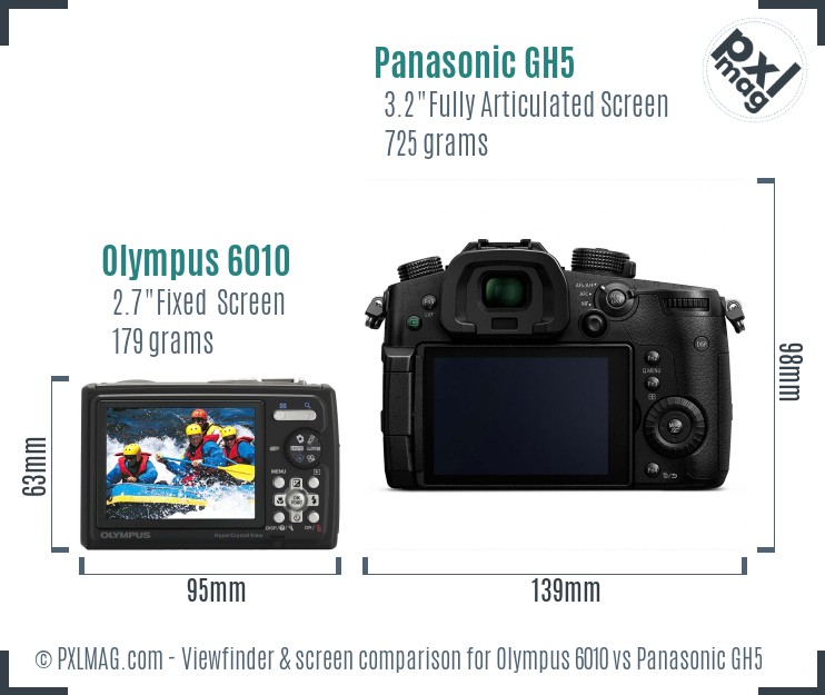 Olympus 6010 vs Panasonic GH5 Screen and Viewfinder comparison