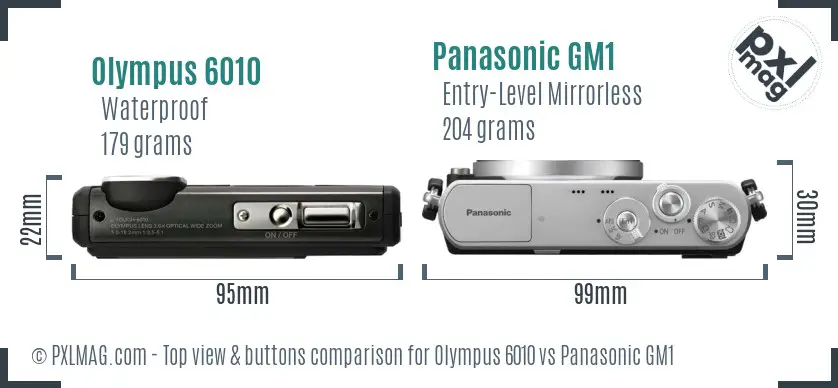 Olympus 6010 vs Panasonic GM1 top view buttons comparison