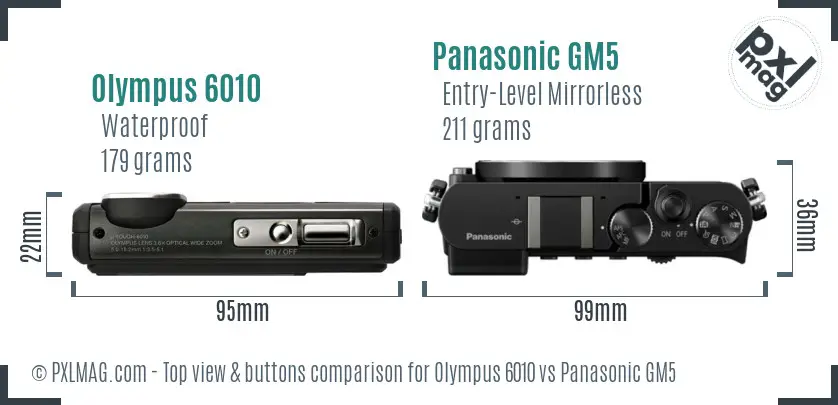 Olympus 6010 vs Panasonic GM5 top view buttons comparison