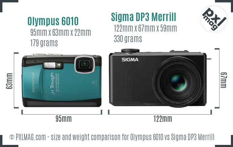 Olympus 6010 vs Sigma DP3 Merrill size comparison