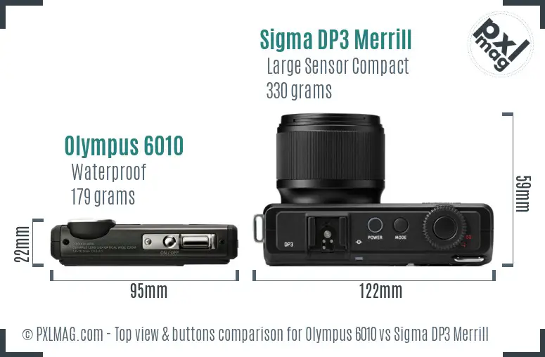 Olympus 6010 vs Sigma DP3 Merrill top view buttons comparison