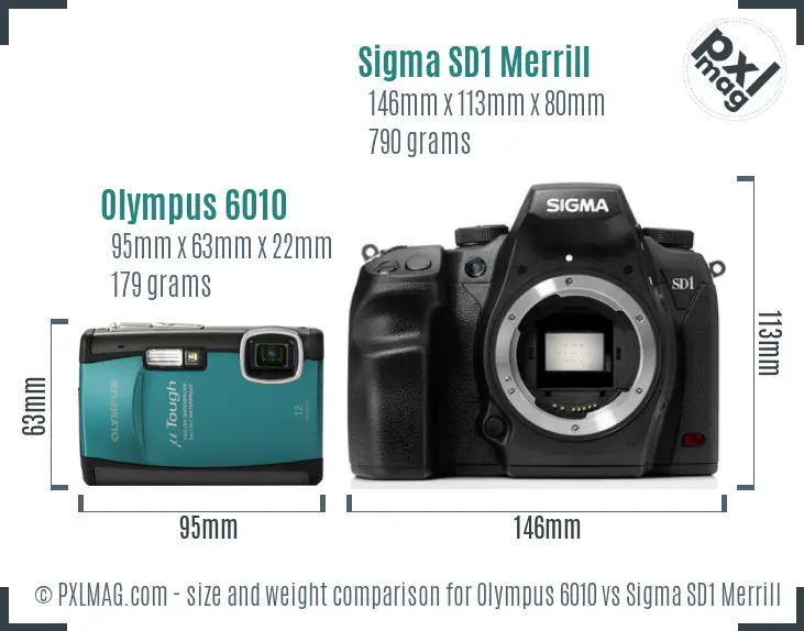 Olympus 6010 vs Sigma SD1 Merrill size comparison