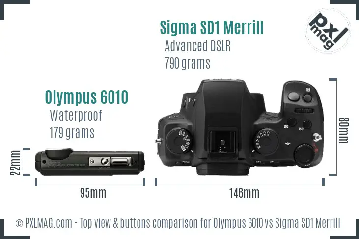 Olympus 6010 vs Sigma SD1 Merrill top view buttons comparison