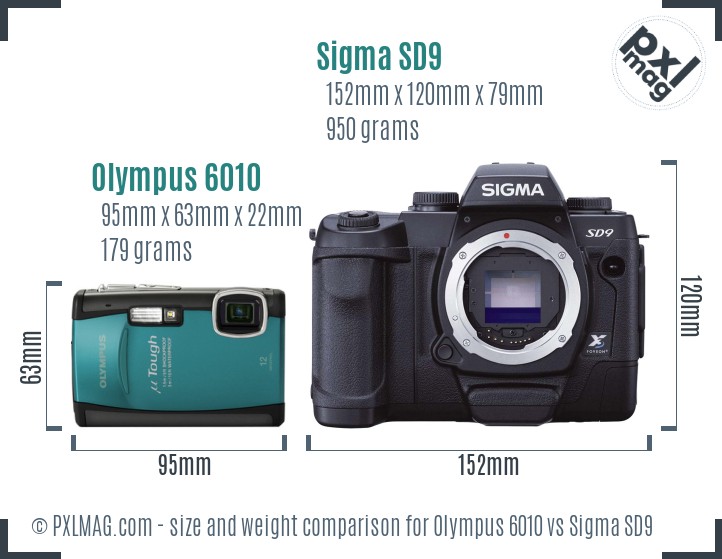 Olympus 6010 vs Sigma SD9 size comparison