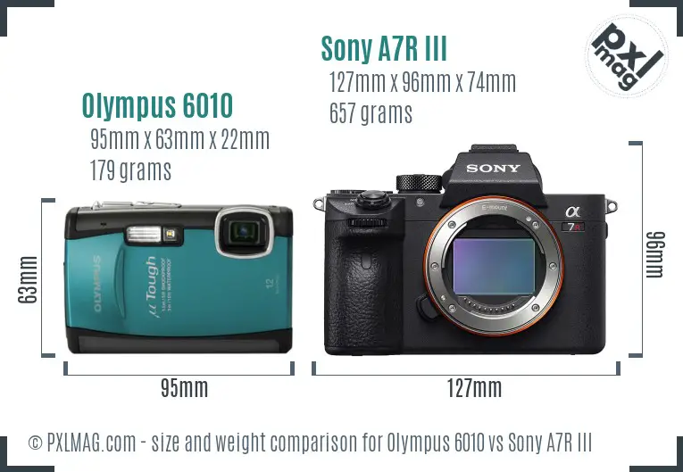 Olympus 6010 vs Sony A7R III size comparison
