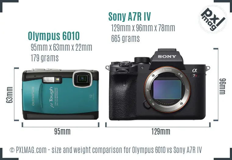 Olympus 6010 vs Sony A7R IV size comparison