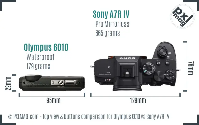 Olympus 6010 vs Sony A7R IV top view buttons comparison