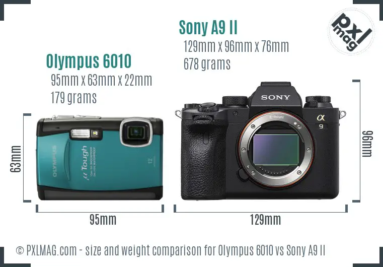 Olympus 6010 vs Sony A9 II size comparison