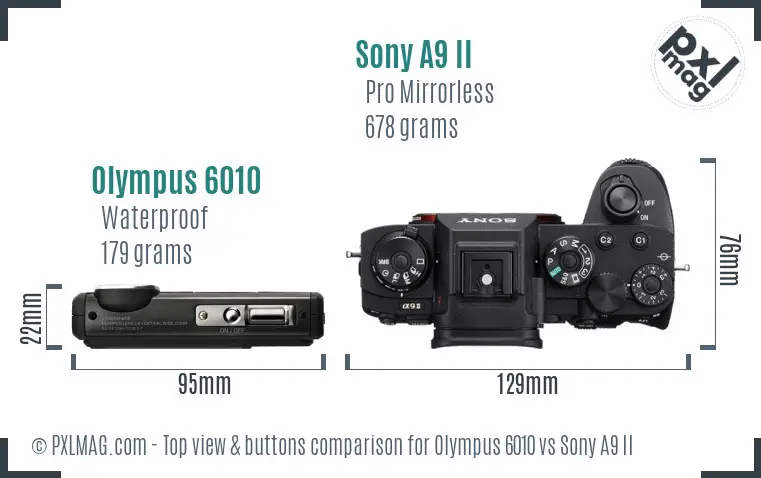 Olympus 6010 vs Sony A9 II top view buttons comparison