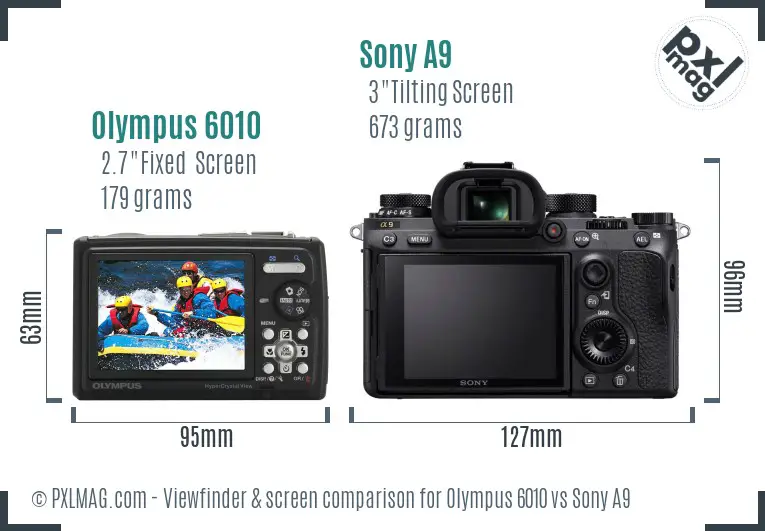 Olympus 6010 vs Sony A9 Screen and Viewfinder comparison