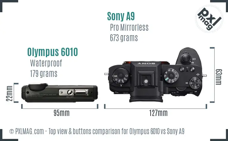 Olympus 6010 vs Sony A9 top view buttons comparison
